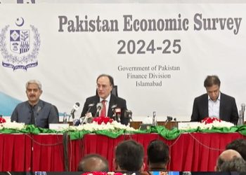 Finance Minister Muhammad Aurangzeb on Monday presenting the Pakistan Economic Survey 2024-25 in Islamabad (Image: Dawn News)